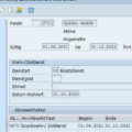 SAP Infotyp Wehr/Zivildienst löschen